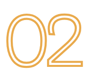 Paso 02