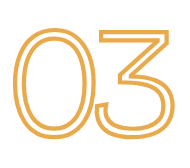 Paso 03
